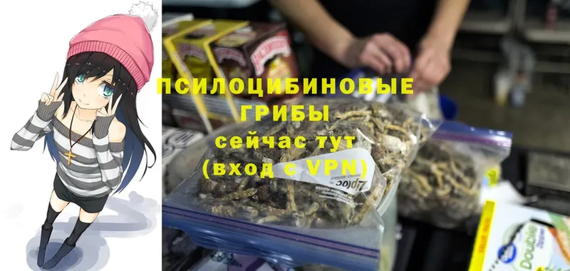 Галлюциногенные грибы мицелий  shop клад  Шахунья 